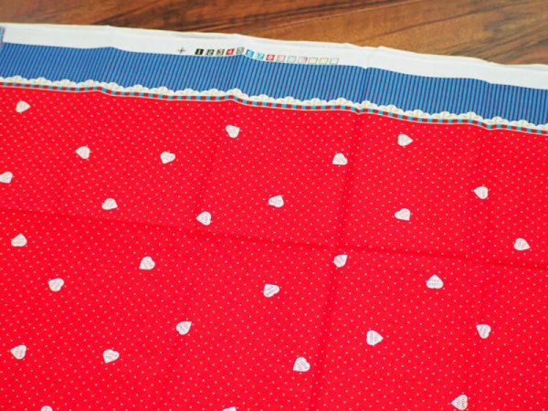 画像4: ラガディアン&アンディ 生地 (4)