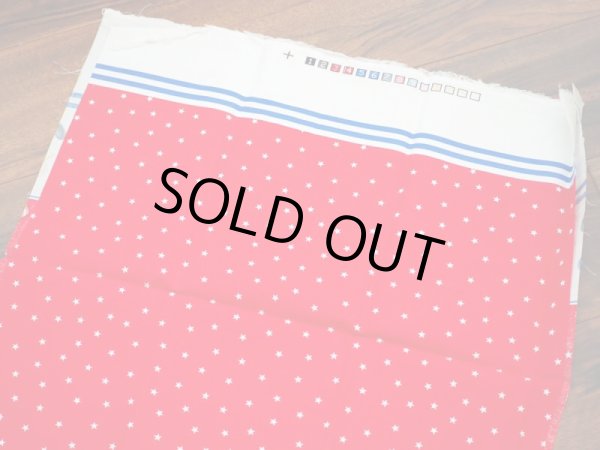 画像3: ラガディアン＆アンディ 生地 (3)