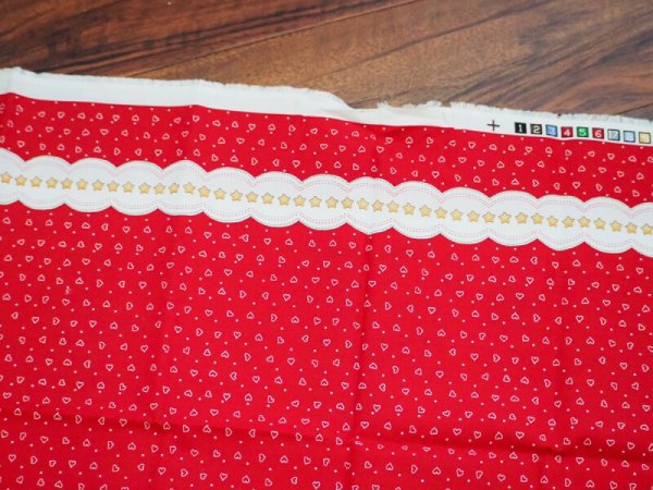 画像4: ラガディアン&アンディ 生地 (4)