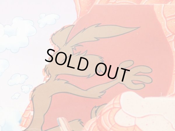 画像6: ワイリーコヨーテ 洋書 (6)