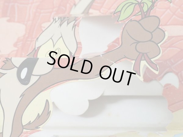 画像5: ワイリーコヨーテ 洋書 (5)