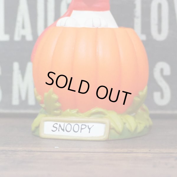 画像6: スヌーピー ボブルヘッド (6)