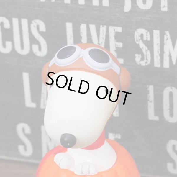 画像5: スヌーピー ボブルヘッド (5)