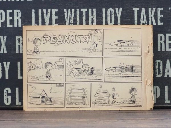 画像3: You’re out of your mind, Charlie Brown! 洋書 (3)