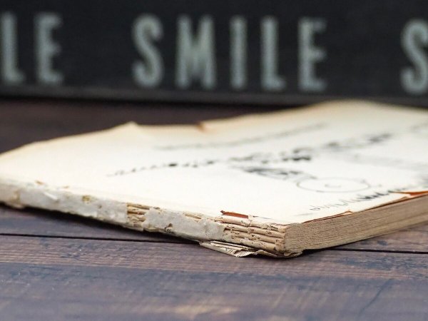 画像5: You’re out of your mind, Charlie Brown! 洋書 (5)