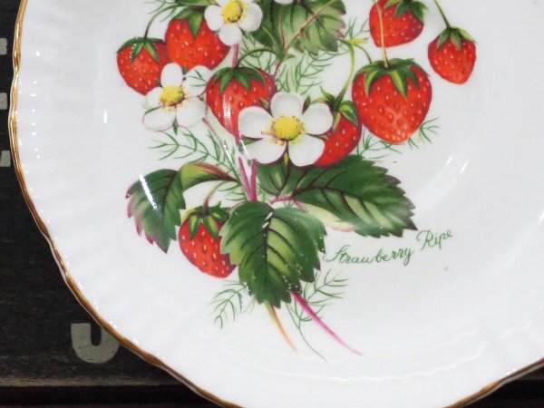 画像8: Salisbury カップ&ソーサー (8)