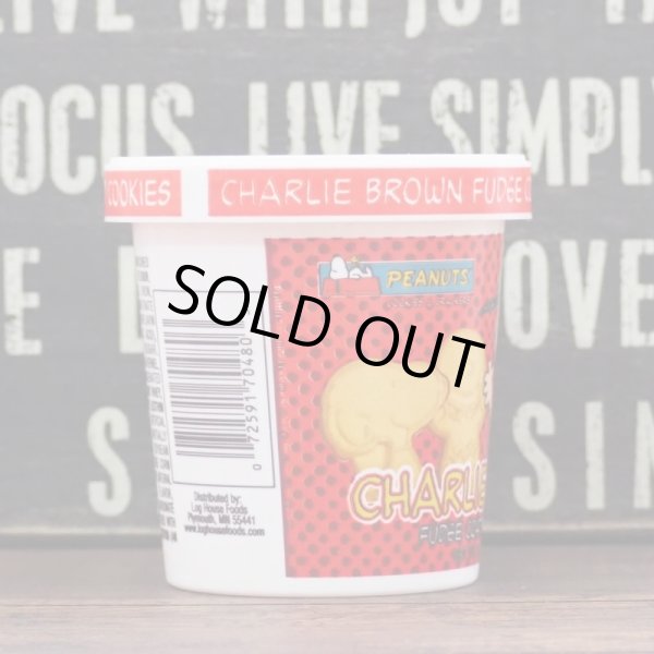 画像2: チャーリーブラウン クッキー容器 (2)