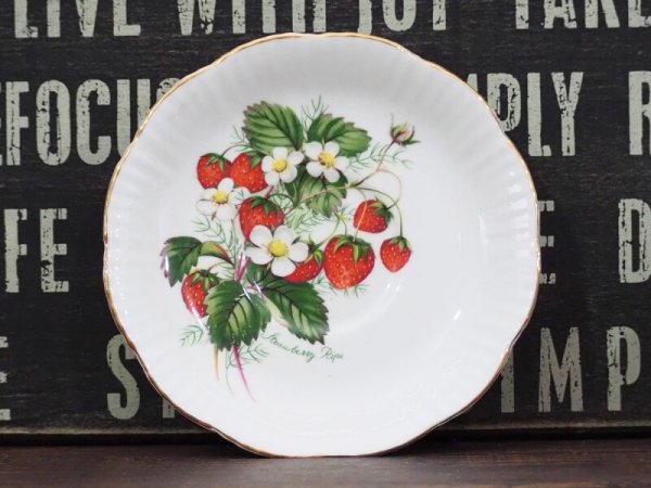 画像7: Salisbury カップ&ソーサー (7)