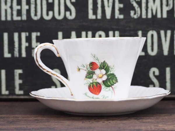 画像3: Salisbury カップ&ソーサー (3)