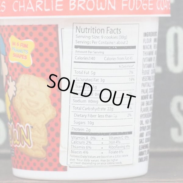 画像4: チャーリーブラウン クッキー容器 (4)