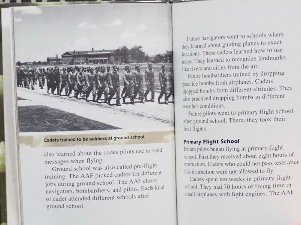 画像7: Training Planes of World War II  (7)