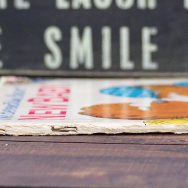 画像3: バーンスタインベアーズ 洋書 (3)