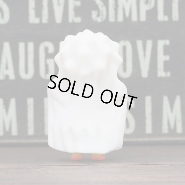 画像7: リサ ミールトイ (7)