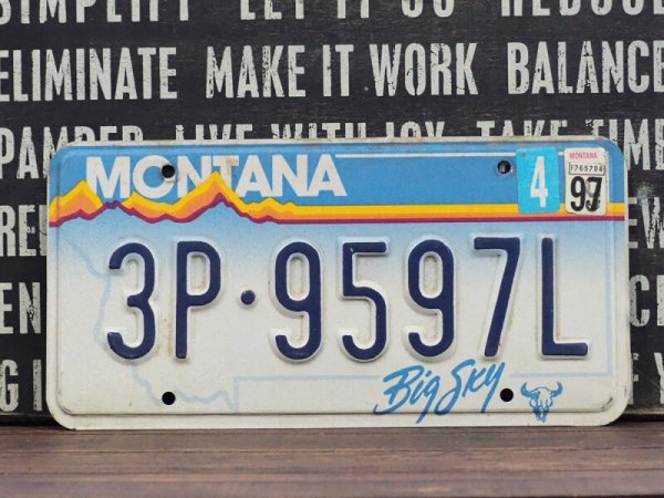 画像1: ナンバープレート Montana (1)