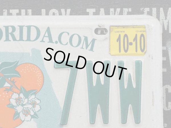 画像2: ナンバープレート Florida (2)