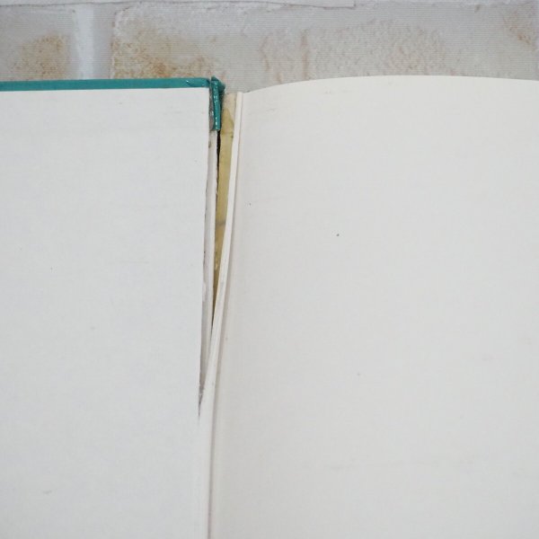 画像6: Automobiles of the 50s 洋書 (6)