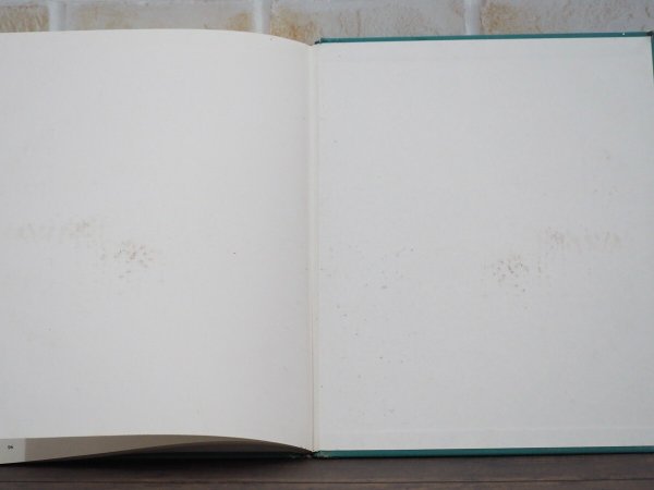 画像9: Automobiles of the 50s 洋書 (9)