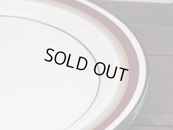 画像4: Anchor Hocking ストーンウェア ディナープレート 2Pセット (4)