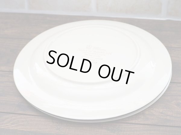 画像5: Anchor Hocking ストーンウェア ディナープレート 2Pセット (5)