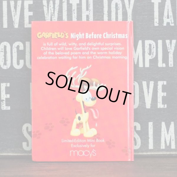 画像3: ガーフィールド 洋書 (3)