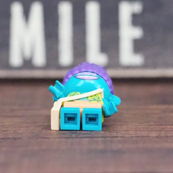 画像6: トロールズ ／ ブランチ LEGO (6)