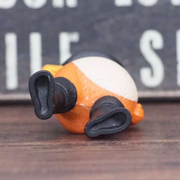 画像6: プス ミールトイ (6)