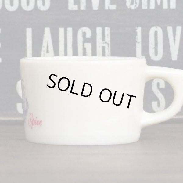 画像2: OLD SPICE シェービングマグ (2)