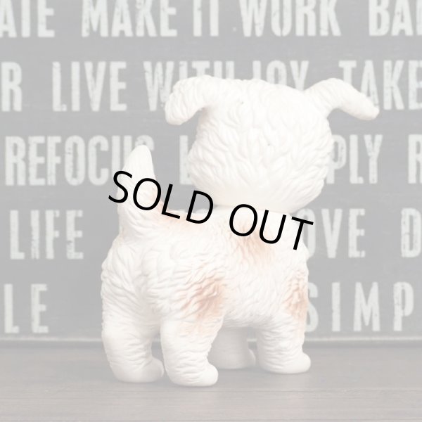 画像2: ラバードール パピー (2) (2)