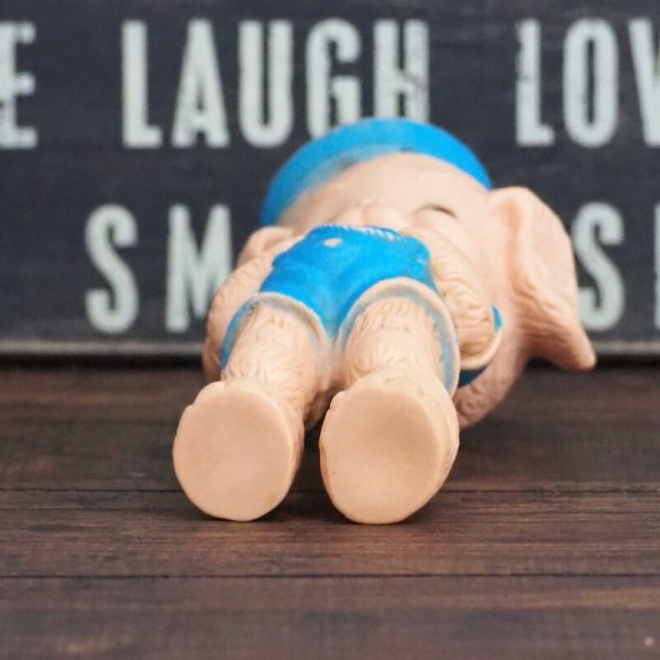 画像7: ラバードール パピー (7)