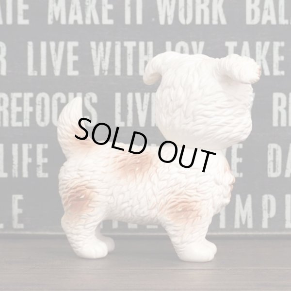 画像3: ラバードール パピー (2) (3)