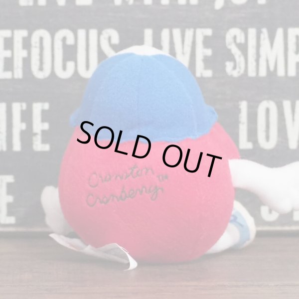 画像3: Dole ぬいぐるみ (3)