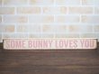 画像1: Some Bunny Loves You ウッドパネル (1)