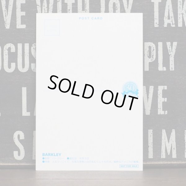 画像2: セサミストリート カード (2)