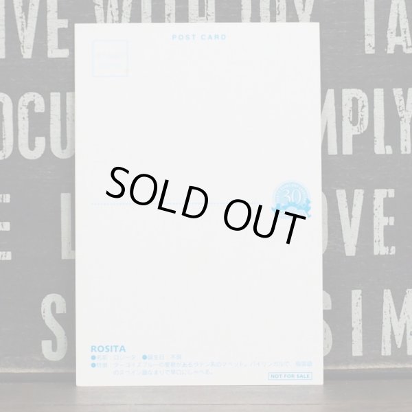 画像2: セサミストリート カード (2)