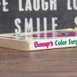 画像4: Barney’s Color Surprise 洋書 (4)