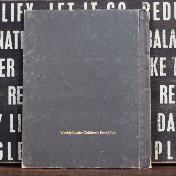 画像2: ラガディアン&アンディ 洋書 (2)