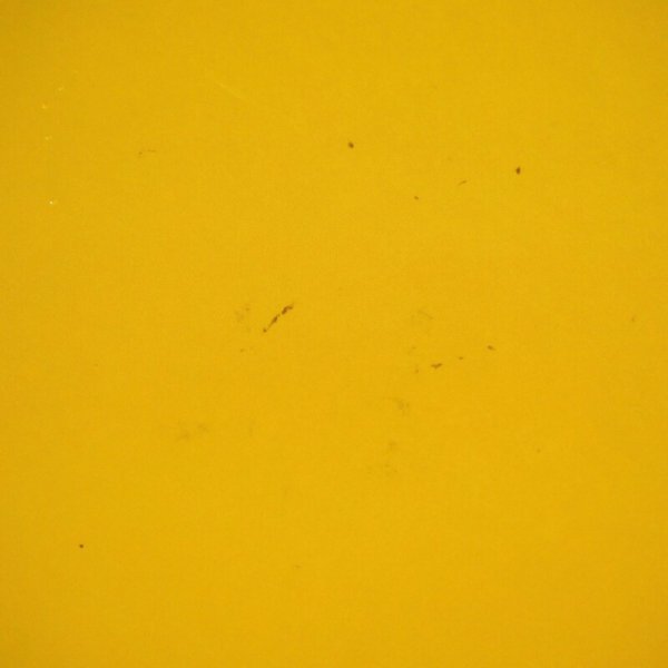 画像3: トイストーリー2 洋書 (3)