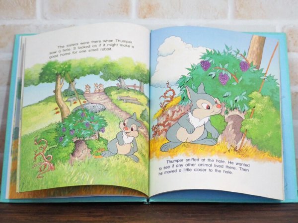 画像5: Thumper’s little sisters 洋書 (5)