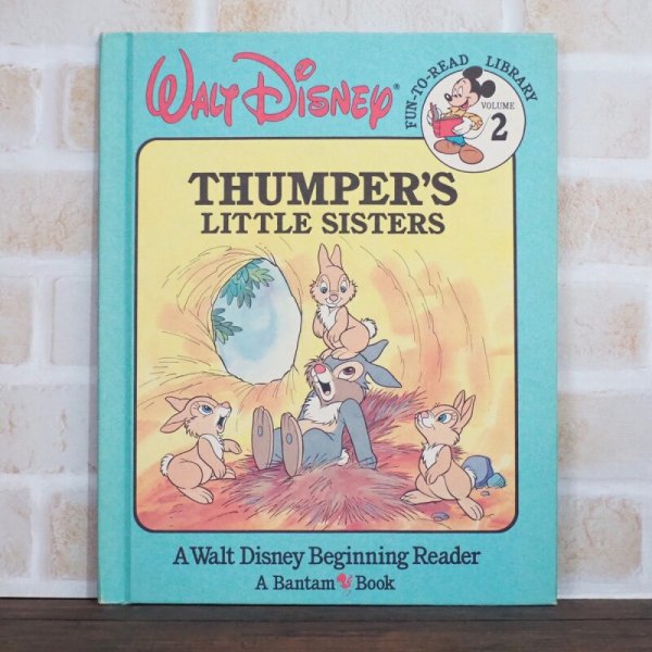 画像1: Thumper’s little sisters 洋書 (1)