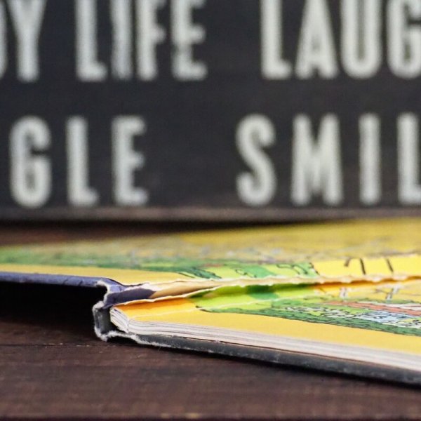 画像4: ラガディアン&アンディ 洋書 (4)