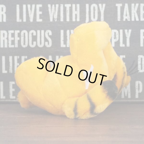 画像6: ガーフィールド ぬいぐるみ (6)