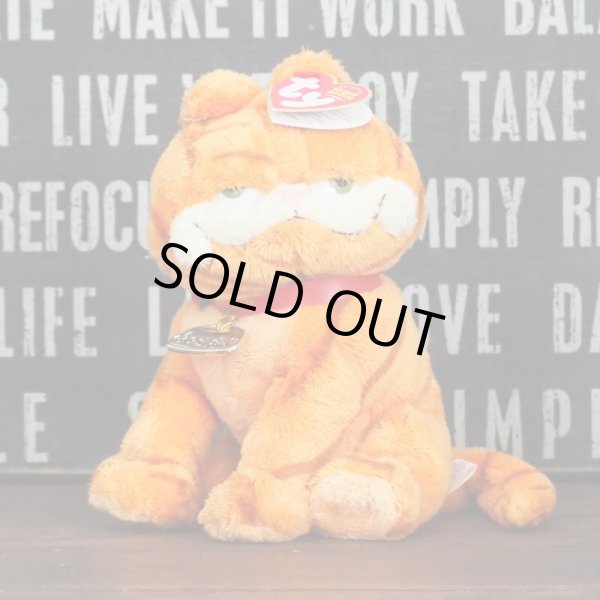 画像1: ガーフィールド ty ぬいぐるみ (1)