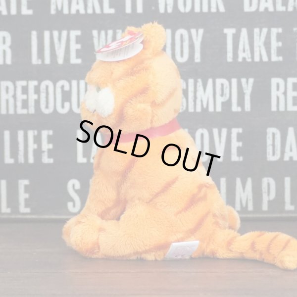 画像3: ガーフィールド ty ぬいぐるみ (3)