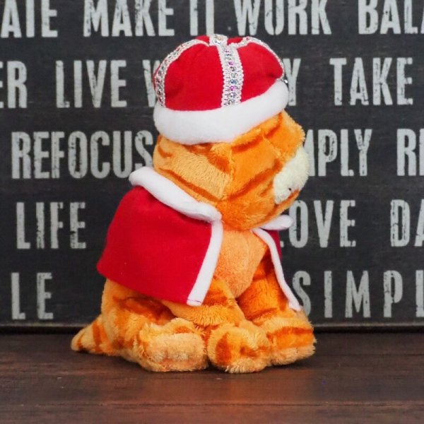 画像4: ガーフィールド ty ぬいぐるみ (4)