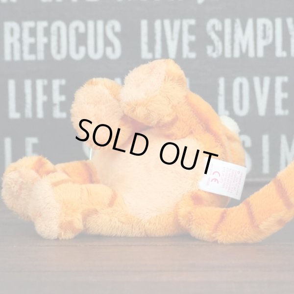 画像5: ガーフィールド ty ぬいぐるみ (5)