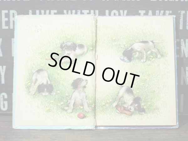 画像4: Five Beds for Bitsy   (4)