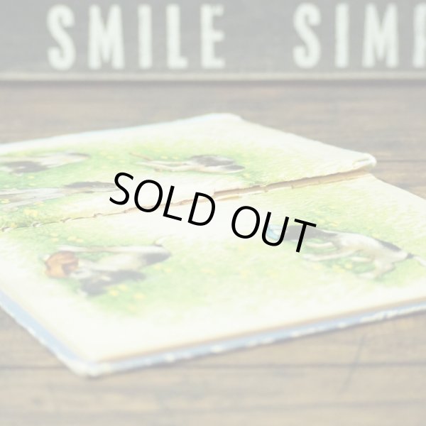 画像5: Five Beds for Bitsy   (5)