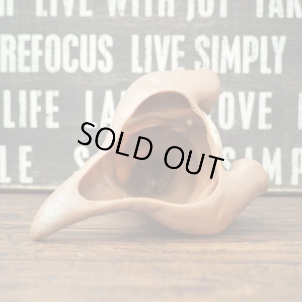 画像5: The land before time Littlefoot (5)