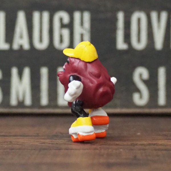 画像2: カリフォルニアレーズン  (2)