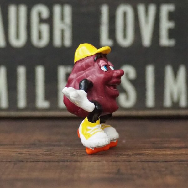 画像4: カリフォルニアレーズン  (4)